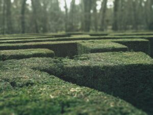 Nick Bowditch Decoding the Maze: Unravelling common misconceptions about mental health